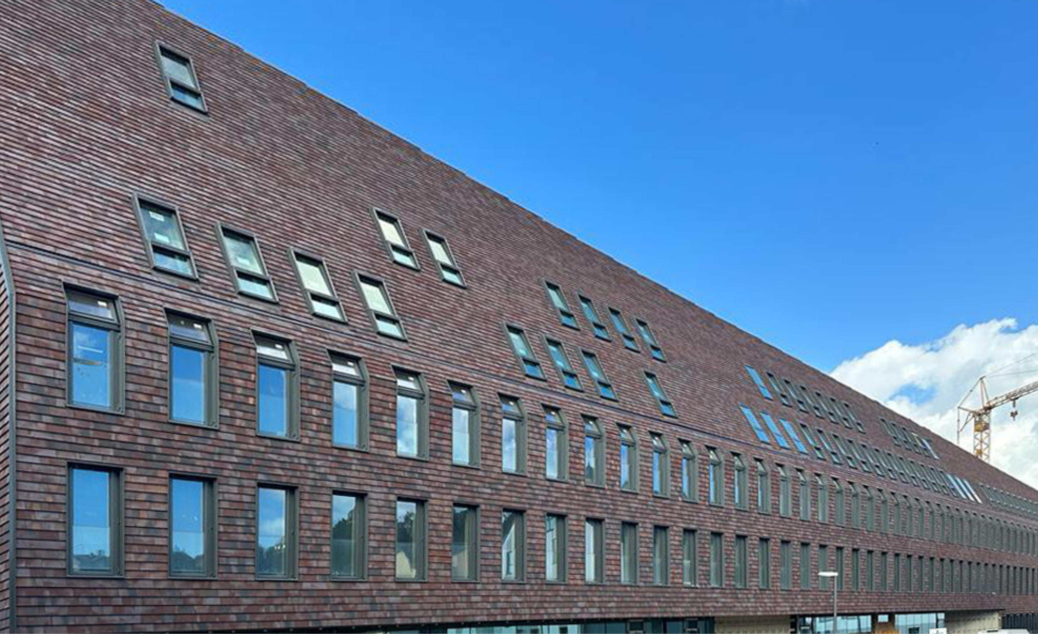 TYPO3\CMS\Extbase\Domain\Model\FileReference:558